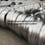 Galvanized Steel Wire