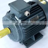 High quality  2.2kw 1450rpm YE2 series 100L1-4 three phase electric ac water pump motor of Chinese Supplier