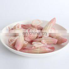 New Product Frozen Squid Wing Flower Pineapple Cut Squid thumbnail-2