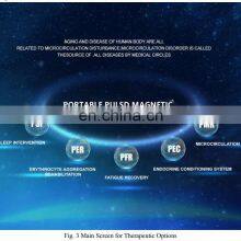 Microcirculation Therapy Blood Circulation Microcirculation Rehabilitation thumbnail-4