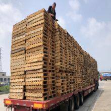 Pallet Forklift thumbnail-3