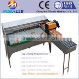 Stainless Steel Chicken Egg Grader Machine, Egg Weighter Machine, for Sorter Chicken Eggs