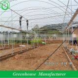 Good Price Greenhouses Growing Vegetable thumbnail-2
