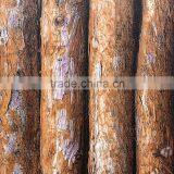 Wallpaper 3d 2015 Home Decoration thumbnail-1