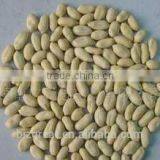 Supply Chinese Blanched Peanut Kernels Long for Sales