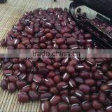 Chinese Adzuki Beans for Europ thumbnail-2