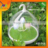 China Manufacturer Popular Design Mushroom Lamps Promotional Gift Mini LED Touchable Change Color Decorative Night Light thumbnail-2