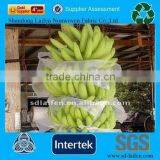 Agriculture Non Woven Cloth,Tnt Textile For Banana Cover thumbnail-1