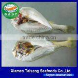 Frozen Seafood Frozen Yellow Croaker, Yellow Croaker Fish Price thumbnail-5