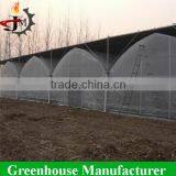 Reinforced Plastic Film Wide Multi Span Greenhouse thumbnail-2
