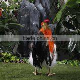 Dance Plush Chicken Toy for Garden Decoration thumbnail-5
