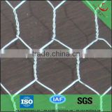 Hexagonal wire mesh/netting(factory)