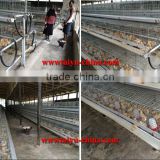 TAIYU Semi-automatic Poultry Farming Equipment for Broiler Breeding