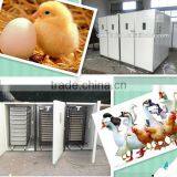 Large Automatic Egg Incubator for Chicken Eggs/duck Eggs/quail Eggs WQ-12672