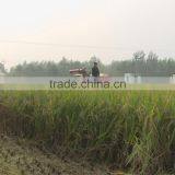 COMBINE HARVESTER FOR RICE, WHEAT, RAPESEED, BARLEY AND OTHER GRANULAR CROP thumbnail-1