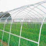 Greenhouse thumbnail-1