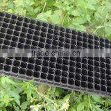 Plastic Flowers Tray Plastic Serving Tray for Seeds thumbnail-2