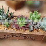 Wholesale Wooden Flower Shelf thumbnail-6
