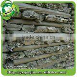 Plastic Wooden Broom Pole Pvc Coated Wooden Broom Stick Wooden Broom Handle thumbnail-5