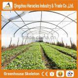 Heracles Large Multi-span PE Film Green House Agriculture & Commercial Used Greenhouse thumbnail-2