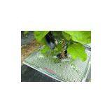 PE Anti-insect Plate thumbnail-3