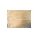 Fancy Plywood thumbnail-2