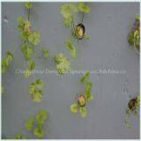 Vertical Agriculture Eco-friendly Use Breathable Healthy Seeding Planting Foam