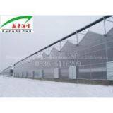 Large Multi-Span PC Venlo Greenhouse thumbnail-3
