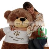 HI EN71 certification Cute custom stuffed name giant teddy bear 30cm 60cm 160cm 180cm 200cm 2 meter soft big animal plush toys