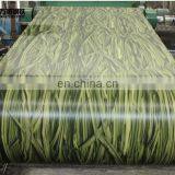 PPGI Prepainted Steel Coils for Building Material thumbnail-7