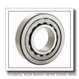 CYLINDRICAL ROLLER BEARINGS one-row STANDARD SERIES