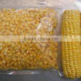 Vietnam Frozen Yellow Sweet Corn Seed