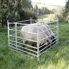 Laser-Cut Fully Welded Oval Rail Livestock Panels for Cattle, Sheep & Horse Corrals thumbnail-2