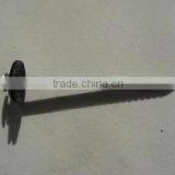 Roofing Nail/ Metal Nails (factory)