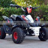 HOT SALE Mini Electric Atv for Kids 500W36V 800W 350W24V