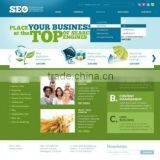 Search Engine Optimization