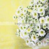 Various Top Sell Chrysanthemum Flower From China thumbnail-4