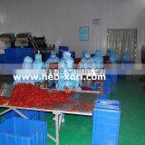 Dry Red New Generation Chili thumbnail-3