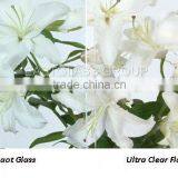 3mm, 4mm,5mm,6mm,8mm,10mm,12mm,19mm Ultra Clear Flat Glass thumbnail-1