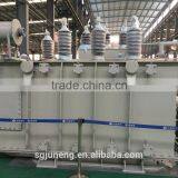 16000kVA Outdoor Oil- Immersed Distribution Transformer thumbnail-5