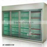 Supermarket Glass Door Freezer (cold Room)