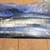 Wholesale Whole Round Spanish Mackerel Fish On Sale thumbnail-6