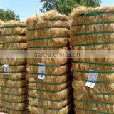 Gafoor Trading Company company overview - view 3 thumbnail