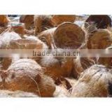 High Quality Cheap dried coconut shell