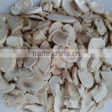 Freeze Dried Mushroom thumbnail-2