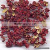 Pericarpium Zanthoxyli Spices thumbnail-5