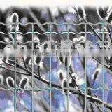 Euro Fence thumbnail-1