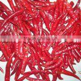 Red Chillies Stemless thumbnail-1