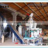 European Certified Sawdust Pellet Production Line for EN PLUS and DIN Pellets, Wood Pelleter Machine