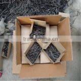 1/2"-13" High Quality Common Nails/ Stainless Steel Nail thumbnail-4